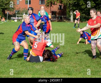 Totnes RFC spielen gegen Camborne RFC auf ihrem Boden in Totnes, Devon Stockfoto