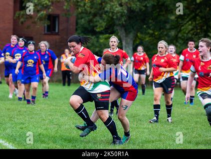 Totnes RFC spielen gegen Camborne RFC auf ihrem Boden in Totnes, Devon Stockfoto