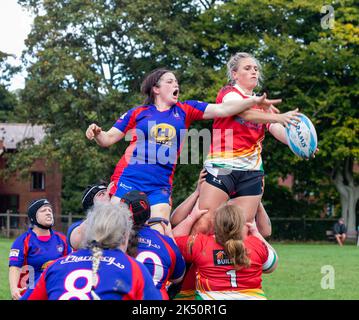 Totnes RFC spielen gegen Camborne RFC auf ihrem Boden in Totnes, Devon Stockfoto