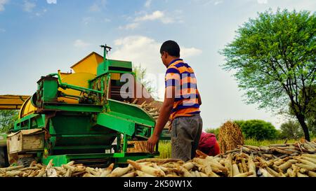 15. August 2022, Sikar, Indien. Traktor arbeitet mit Dreschmaschine auf dem Feld. Landwirte trennen Strohschalen von Getreide. Stockfoto