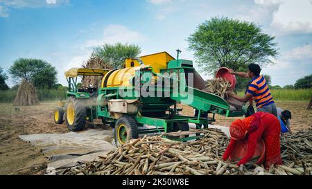 15. August 2022, Sikar, Indien. Traktor arbeitet mit Dreschmaschine auf dem Feld. Landwirte trennen Strohschalen von Getreide. Stockfoto