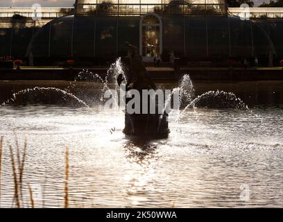 Nahaufnahme der Statue und des Herkules-Wasserbrunnens in den Kew Gardens London im Sommer gegen das Nachmittagslicht. Stockfoto