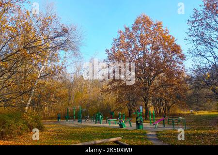 Ein leerer Fitnessraum im Freien, umgeben von Herbstbäumen Stockfoto