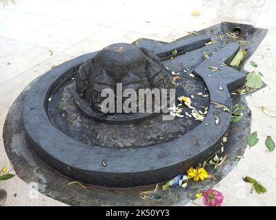 Eine Shiva Linga, die mit einem schwarzen Stein auf einer Ebenen Oberfläche mit einer Umgebung aus Fliesen hergestellt wurde Stockfoto