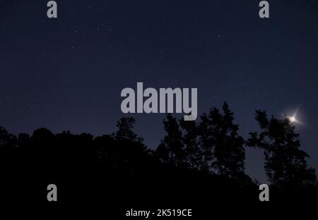 Unidentifiziertes fliegendes Objekt über einem Schattenwald in einer sternenklaren Nacht Stockfoto