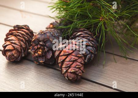 Sibirischer Kiefernzweig und Zapfen lagen auf einem Holztisch, Nahaufnahme mit selektivem Weichfokus Stockfoto