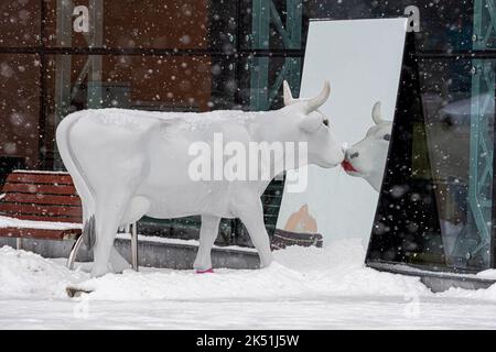 Ventspils, Lettland, 5. Februar 2021: Süße und lustige weiße Kuh mit bemalten Lippen, die an einem verschneiten Wintertag in den Spiegel schauen, eine der vielen Statuen Stockfoto