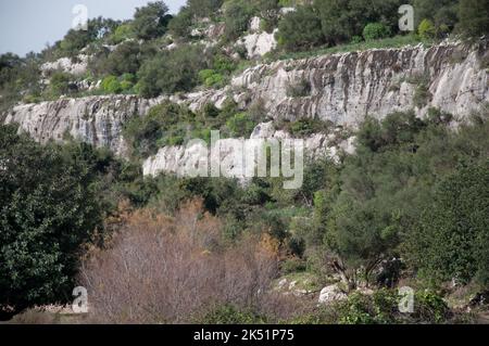 Große Schlucht von Rosolini, Rosolini, Provinz Siracusa (Syrakus), Sizilien, Italien Stockfoto