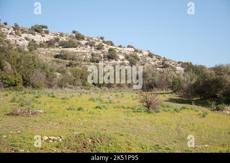 Panorama, außerhalb von Rosolini, Provinz Siracusa (Syrakus), Sizilien, Italien. Felder, Bäume, Felsen, Büsche, kleine Hügel im Hintergrund. Sizilianische CO Stockfoto