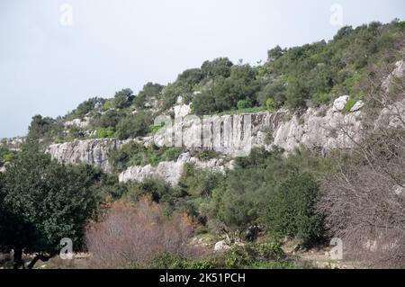 Große Schlucht von Rosolini, Rosolini, Provinz Siracusa (Syrakus), Sizilien, Italien Stockfoto