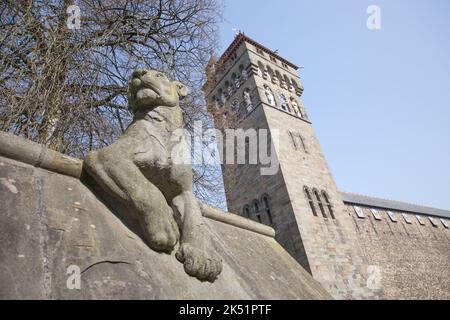 Ein Löwe an der Tiermauer in der Castle Street in Cardiff, Wales in Großbritannien Stockfoto