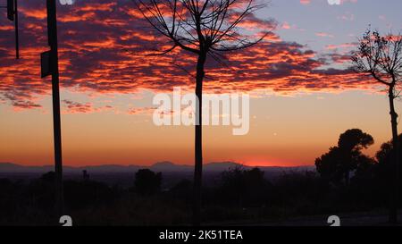 Ein wunderschöner Sonnenuntergang in einer Stadt mit blattlosen Baumsilhouetten im Vordergrund Stockfoto