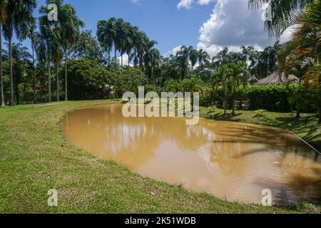 Ein sonniger Tag im Eco Hotel Cosmogenesis in Villavicencio. Cosmogenesis ist ein agro-ökotouristisches, therapeutisches und prägendes Zentrum, das sich auf Permaku konzentriert Stockfoto