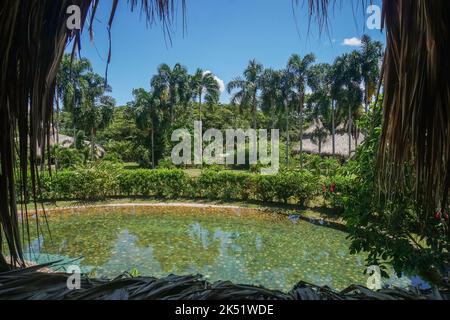 Ein sonniger Tag im Eco Hotel Cosmogenesis in Villavicencio. Cosmogenesis ist ein agro-ökotouristisches, therapeutisches und prägendes Zentrum, das sich auf Permaku konzentriert Stockfoto