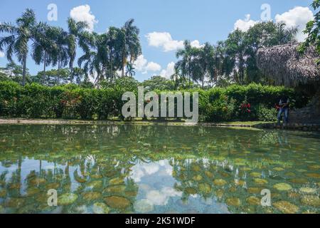 Ein sonniger Tag im Eco Hotel Cosmogenesis in Villavicencio. Cosmogenesis ist ein agro-ökotouristisches, therapeutisches und prägendes Zentrum, das sich auf Permaku konzentriert Stockfoto