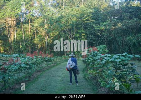 Ein sonniger Tag im Eco Hotel Cosmogenesis in Villavicencio. Cosmogenesis ist ein agro-ökotouristisches, therapeutisches und prägendes Zentrum, das sich auf Permaku konzentriert Stockfoto