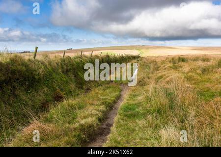 Der Tarka Trail Pfad verläuft entlang einer eingezäunten Erdbank mit Stacheldraht auf der Südseite der Chains im Exmoor National Park, Somerset, England. Stockfoto