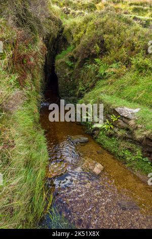 Der Überlauf im Erddamm von Pinkery Pond, oder Pinkworthy Pond, am Kopf des Flusses Barle auf der Südseite der Chains im Exmoor National Park, Somerset, England. Stockfoto