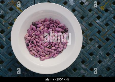 Draufsicht auf frisch geschälte Runner-Bohnen aus dem Pod. Stockfoto