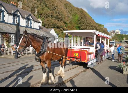 An der Douglas-Promenade, Isle of man, steigen die Passagiere in eine Pferdestraßenbahn ein. Stockfoto