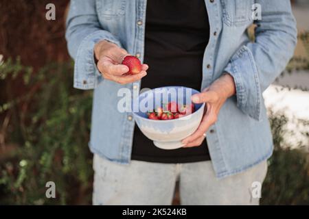 Hände einer älteren Frau, die eine Schüssel mit reifen Erdbeeren in der Hand hält Stockfoto