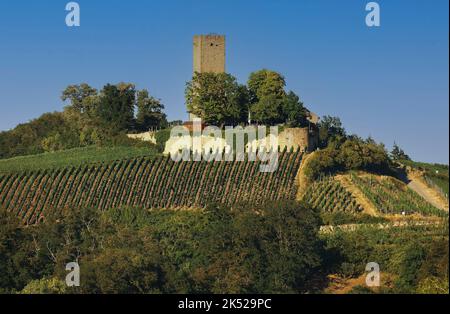 Schloss Ravensburg, Sulzfeld in Kraichgau, Baden-Württemberg, Deutschland, Europa Stockfoto