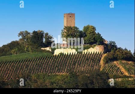 Schloss Ravensburg, Sulzfeld in Kraichgau, Baden-Württemberg, Deutschland, Europa Stockfoto