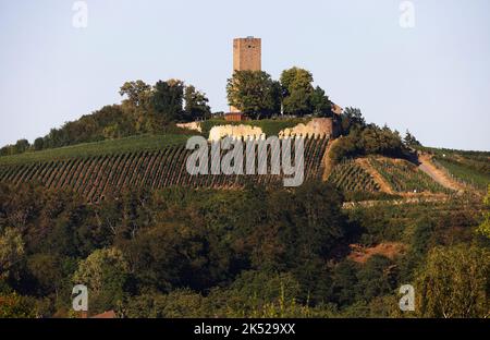 Schloss Ravensburg, Sulzfeld in Kraichgau, Baden-Württemberg, Deutschland, Europa Stockfoto