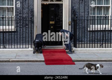 Vor einem Staatsbesuch in Whitehall, London, England, Großbritannien, wird vor dem Haupteingang der Downing Street Nr. 10 ein roter Teppich verlegt Stockfoto