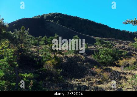 Vulkan der seitlichen Eruption und Lavafeld mit Sträuchern und Bäumen im Ätna Nationalpark von Sizilien, Italien Stockfoto