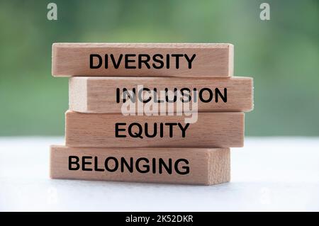 Holzblöcke mit Text - Vielfalt, Inklusion, Gleichheit und Zugehörigkeit mit verschwommenem Naturhintergrund. Stockfoto