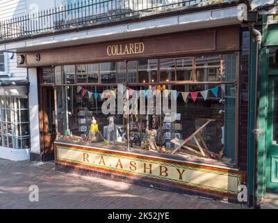 Collared, ein Tierversorgungsgeschäft im Pantiles-Gebiet von Royal Tunbridge Wells, Kent, Großbritannien. Stockfoto