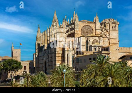 Kathedrale Santa Maria (auch bekannt als La Seu) unter blaues Himmel in Palma de Mallorca, Spanien. Stockfoto