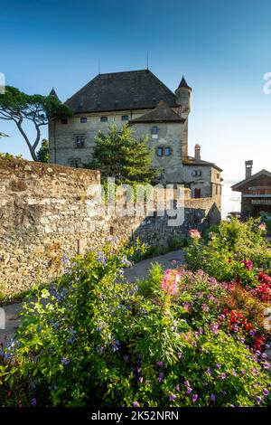 Frankreich, Haute Savoie (74) Yvoire, die befestigte Burg von Amédé de Savoie, von den Gassen der mittelalterlichen Stadt aus gesehen Stockfoto