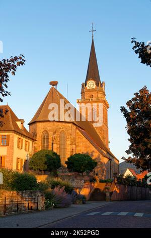 Frankreich, Haut Rhin, elsässische Weinstraße, Bergheim, mittelalterliche ummauerte antike Stadt, beschriftet Les Plus Beaux Villages de France (die schönsten Dörfer Stockfoto