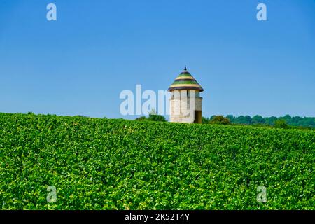 Frankreich, Cote d'Or, Burgund Klimazonen, die von der UNESCO zum Weltkulturerbe erklärt wurden, Route des Grands Crus, Cote de Beaune, Meursault, Rathaus Stockfoto