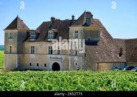 Frankreich, Cote d'Or, Burgund Klimazonen, die von der UNESCO zum Weltkulturerbe erklärt wurden, Route des Grands Crus, Cote de Nuits Weinberg, Vougeot, Schloss Clos Vougeot Stockfoto
