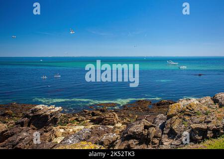 Frankreich, Vendee, Noirmoutier Insel, das türkisfarbene Wasser der Pilier Insel, ornithologisches Reservat, das zum Küstenkonservatorium gehört, vor Noirmouti Stockfoto