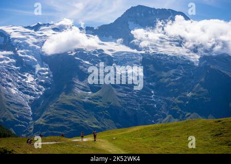 Frankreich, Savoie (73), Haute Tarentaise, Parc National de la Vanoise, Sainte Foy Tarentaise, randonneurs sur la Plaine du Clou (2257 m) au-dessus du Ham Stockfoto