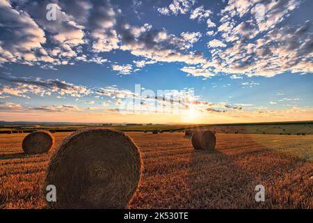 Frankreich, Meurthe-et-Moselle, Saintois Land, Strohballen auf den Feldern bei Sonnenuntergang Stockfoto