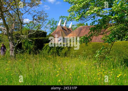 Wildblumenwiese, Frühlingsblumen, Great Dixter, East Sussex, Großbritannien Stockfoto