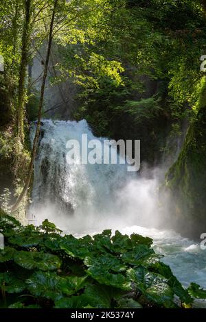 Die Cascata delle Marmore (Marmore Falls) ist ein von Menschen geschaffener Wasserfall, der von den alten Römern in der Nähe von Terni in Umbrien, Italien, geschaffen wurde. Die Gewässer Stockfoto