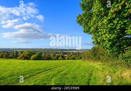 Blick über die Landschaft in der Nähe von Westerham in Kent, Großbritannien. Im Vordergrund befindet sich ein grasbewachsenes Feld. Westerham und die North Downs Hills liegen in der Ferne. Stockfoto