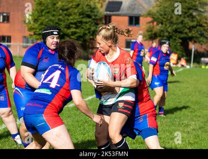 Totnes RFC spielen gegen Camborne RFC auf ihrem Boden in Totnes, Devon Stockfoto