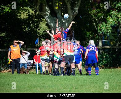 Totnes RFC spielen gegen Camborne RFC auf ihrem Boden in Totnes, Devon Stockfoto