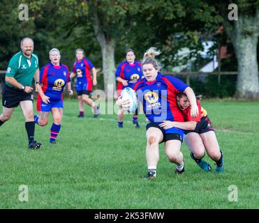 Totnes RFC spielen gegen Camborne RFC auf ihrem Boden in Totnes, Devon Stockfoto