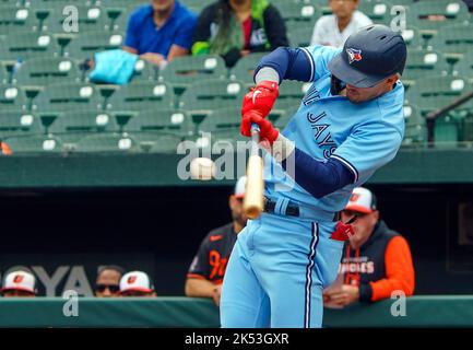 Baltimore, USA. 05. Oktober 2022. BALTIMORE, MD - 05. OKTOBER: Toronto Blue Jays zweiter Baseman Cavan Biggio (8) bei Fledermaus während des ersten Spiels eines Doppelkopfballspiels zwischen den Baltimore Orioles und den Toronto Blue Jays am 05. Oktober 2022 im Orioles Park in Camden Yards in Baltimore, Maryland. (Foto von Tony Quinn/SipaUSA) Quelle: SIPA USA/Alamy Live News Stockfoto