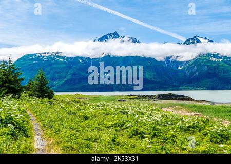 Blick auf den Chilkat Inlet & Glacier Bay National Park & Preserve von Moose Meadow; Chilkat State Park; Haines; Alaska; USA Stockfoto