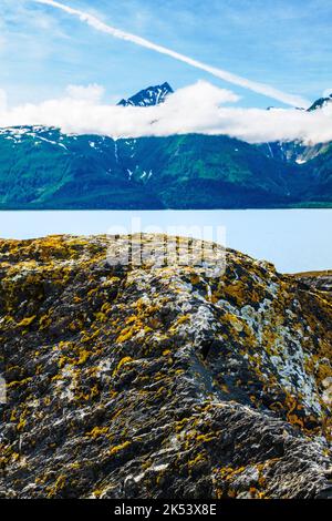 Blick auf den Chilkat Inlet & Glacier Bay National Park & Preserve von Moose Meadow; Chilkat State Park; Haines; Alaska; USA Stockfoto