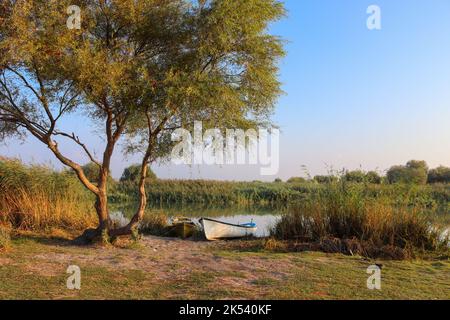 Ein weißes Boot dockte am Ufer eines Flusses an, wobei die Blätter der Bäume im Herbst ihre Farbe änderten. Fischerboot unter einem Baum geparkt Stockfoto